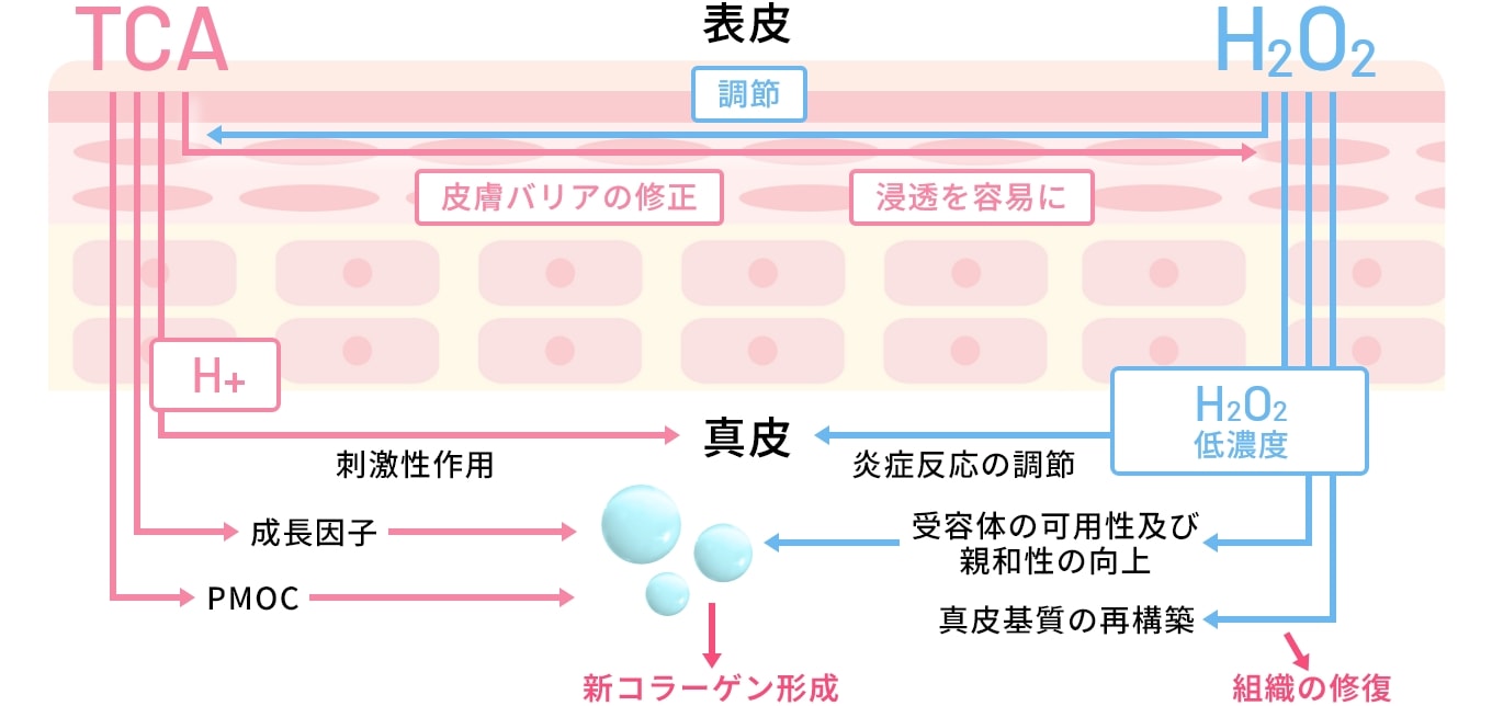 マッサージピール３つの特徴